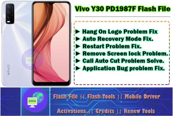 Vivo Y30_PD1987F Flash File